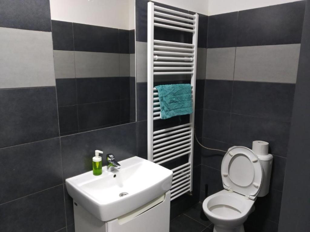 Apartments Near The Center With Privat Parking Brno Exterior photo